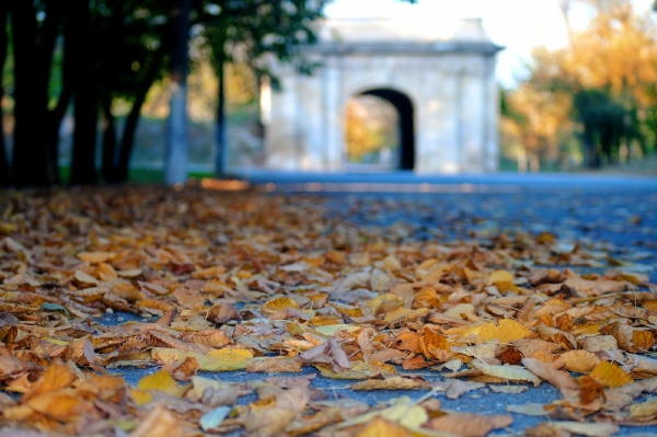 autumn kherson 1